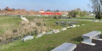 Picture of Myton Green- part of landscaped area